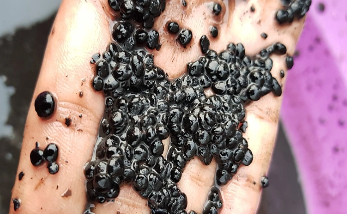 Bùn hạt Kỵ Khí UASB là gì? Cấu tạo, nguyên lý ứng dụng và thực tế